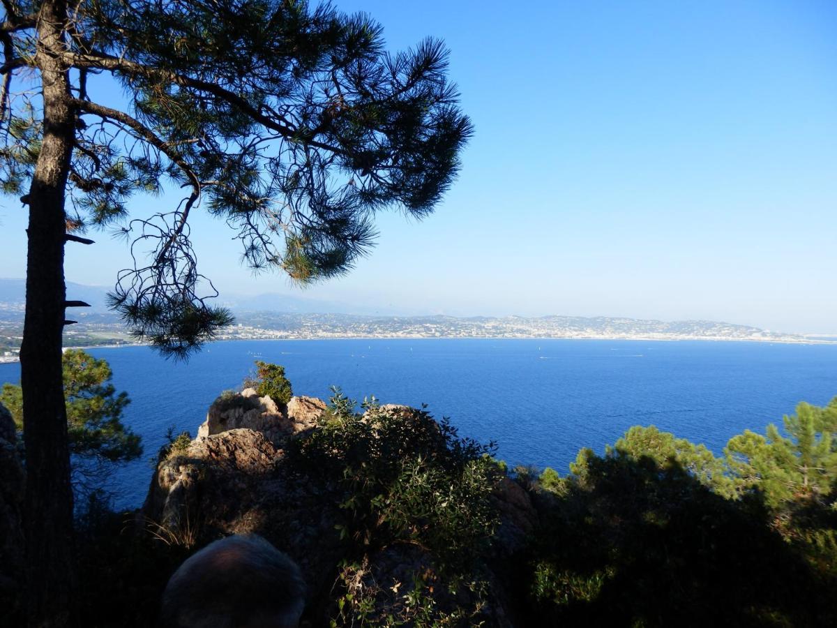 Esterel Terrasses, Roof Top, Plage, Parking Payant Κάννες Εξωτερικό φωτογραφία