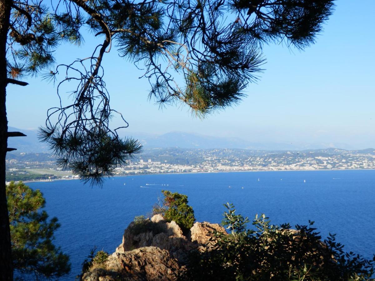 Esterel Terrasses, Roof Top, Plage, Parking Payant Κάννες Εξωτερικό φωτογραφία